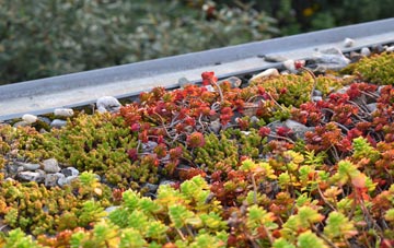 the cost of Rosebery green roof installation