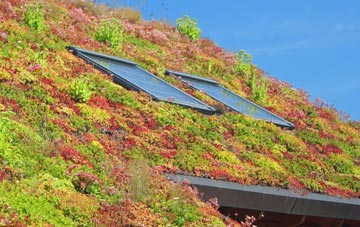 Rosebery living roof systems