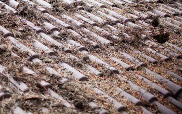 Rosebery roof cleaning companies